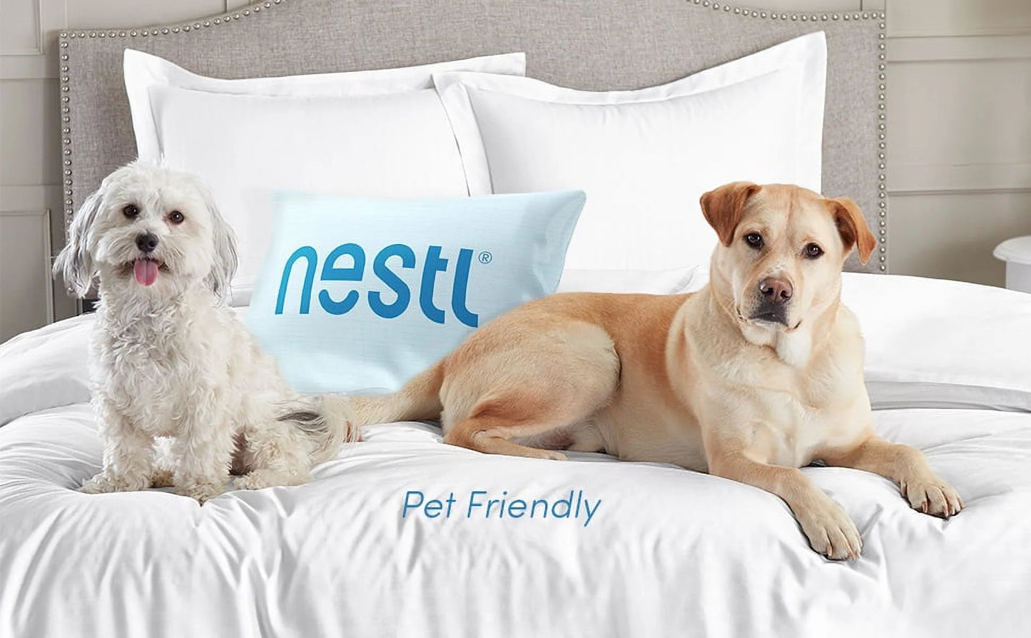 3 Piece Pinch Pleated Pintuck Duvet Cover Set with Shams, Soft Microfiber,Button Closure Bedding Set, California King - Charcoal Gray