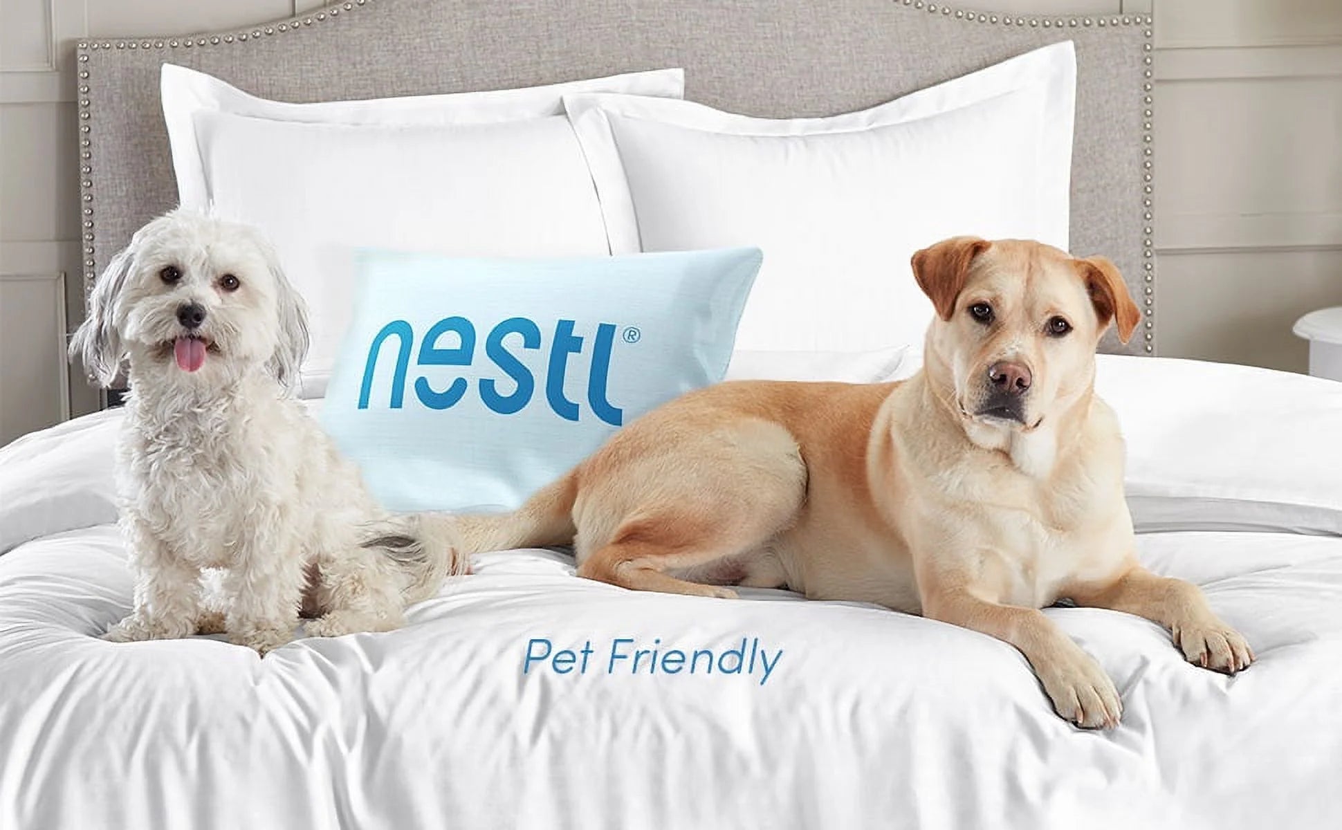 3 Piece Pinch Pleated Pintuck Duvet Cover Set with Shams, Soft Microfiber,Button Closure Bedding Set, California King - Charcoal Gray