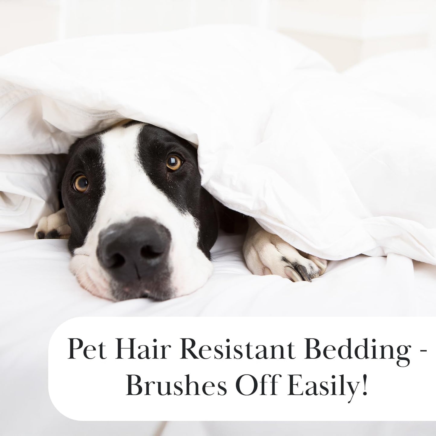 Full/Queen Quilt Bedding Set with 2 Quilted Pillow Shams, Circle Stitched Full Size Bedspread, Lightweight Blue Quilt Coverlet Queen Size, Steel Blue