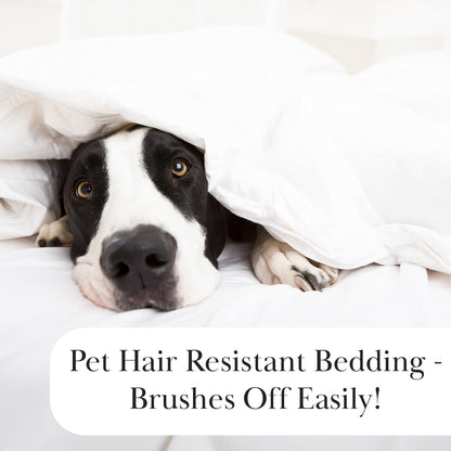 Full/Queen Quilt Bedding Set with 2 Quilted Pillow Shams, Circle Stitched Full Size Bedspread, Lightweight Blue Quilt Coverlet Queen Size, Steel Blue